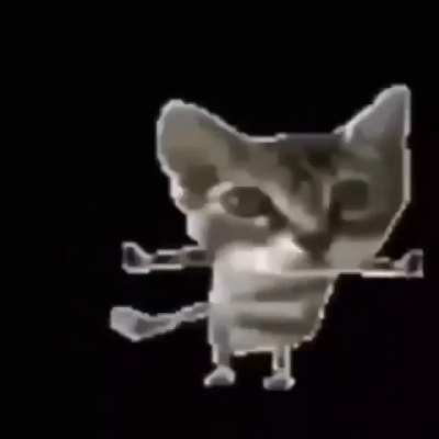 Gato