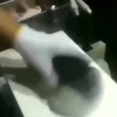Le fishe bonk