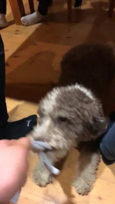 AAA-