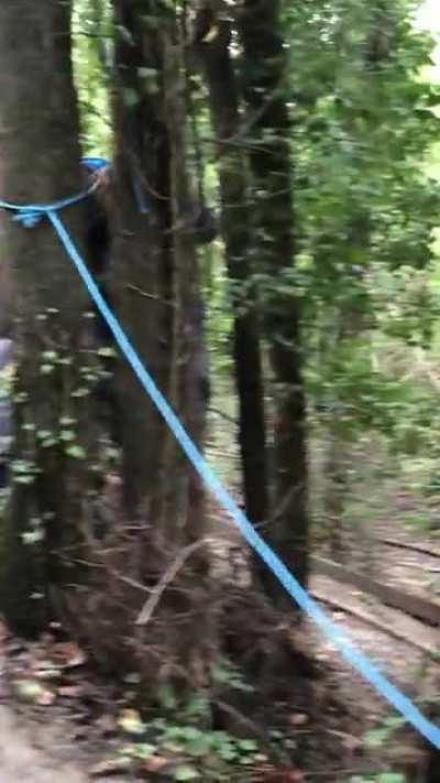 Trying to walk on some mud