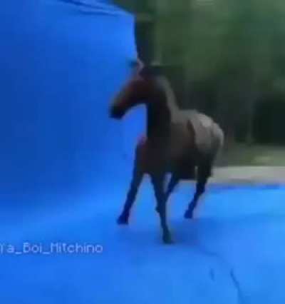 Found in my gallery