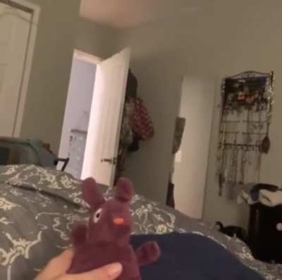Toy!