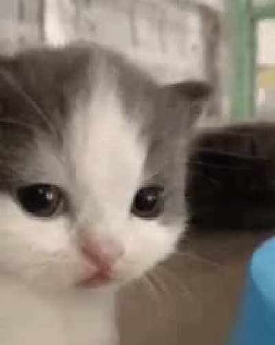 just found out about the rule