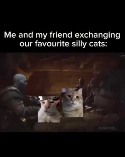 Pussies