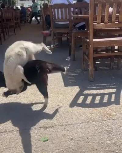 Tactical takedown
