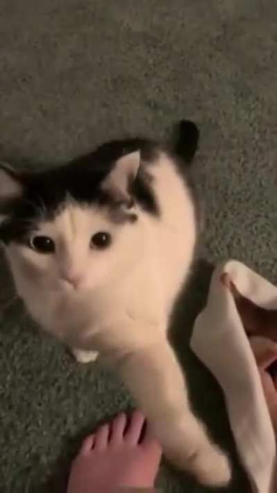 Hey look at me, stop looking looking at your phone,I’m talking to you.