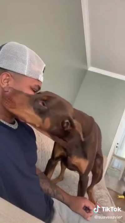 Kiss Goes Wrong…