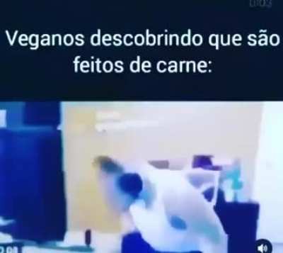 Oh no ele descobriu