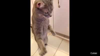 '' Holy... God... WHAT IS THAT ''