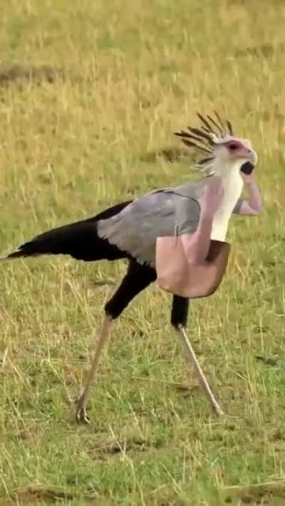 😁😁🤣