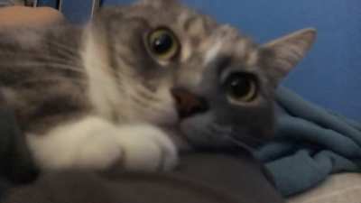 My cat mad that she sat with me