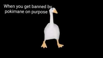 Funny goose man