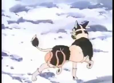 Japan and animals