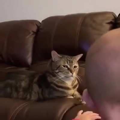The tale of cat and toddler