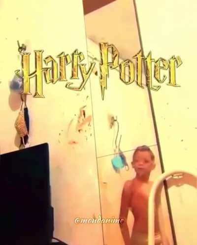 harry potter