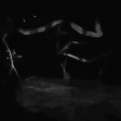 Cursed_Cryptids