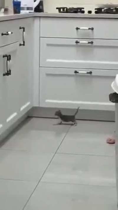 Maybe Maybe Maybe