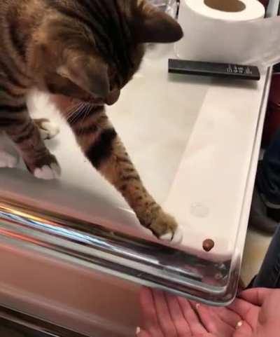 You fool!