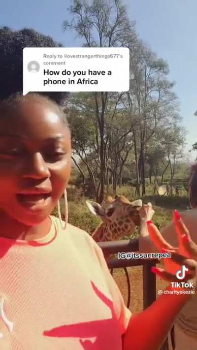 The true purpose of “giraffes”