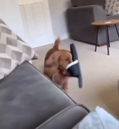 To be home alone and chewy the shoey