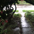 Rainy day porch view