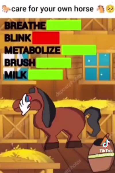 Horse