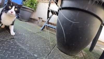 POV