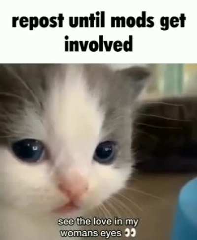 Discordmemes - Video #4281