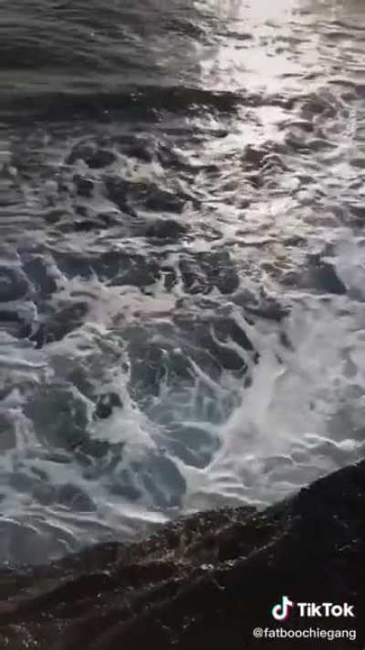 HMFT after I get thrown off a cliff