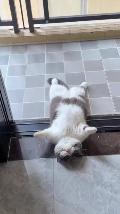 Awww😍