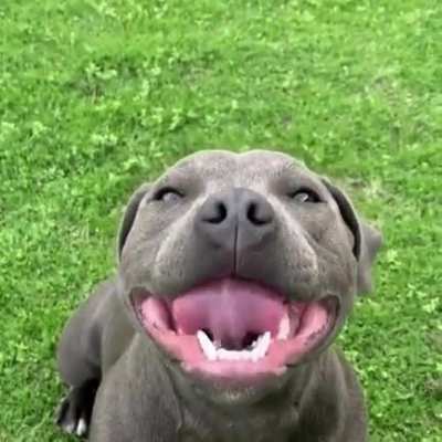 That smile