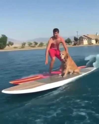Surf Bud