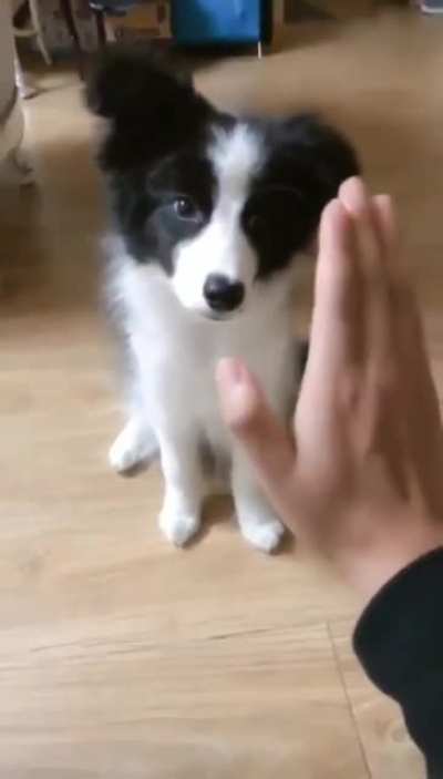 “I’m not sure what you want, but i love you!”