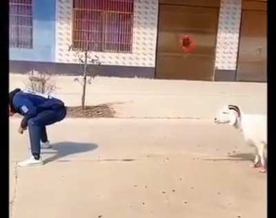 Taking him for a ride