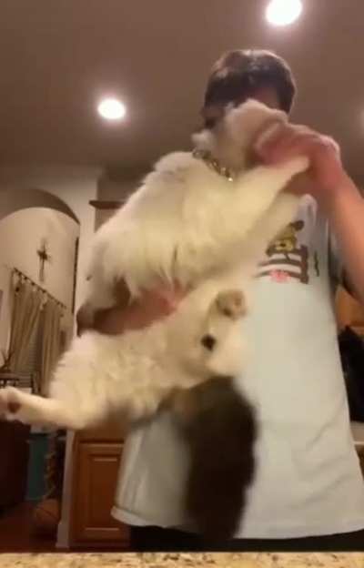 He woke up and chose violence