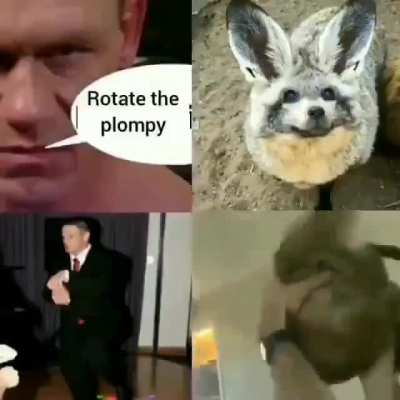 PLOMPY