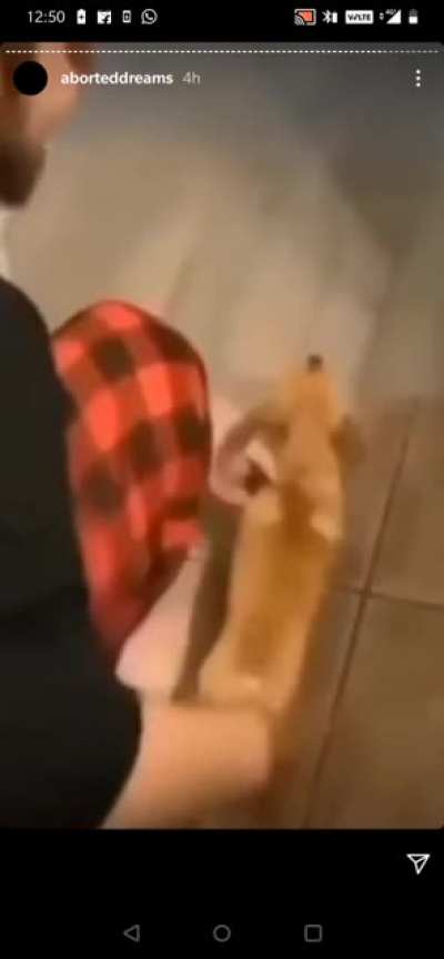 ༼;´༎ຶ ۝ ༎ຶ༽
