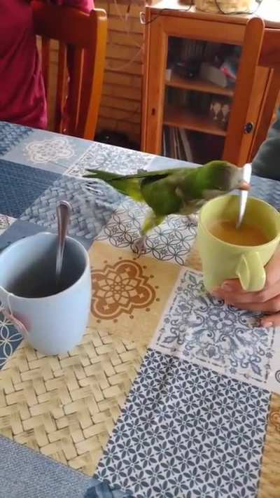 maybe maybe maybe