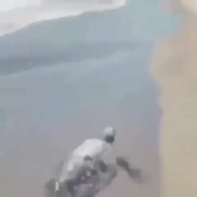 XD