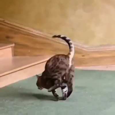What a jump! 😍