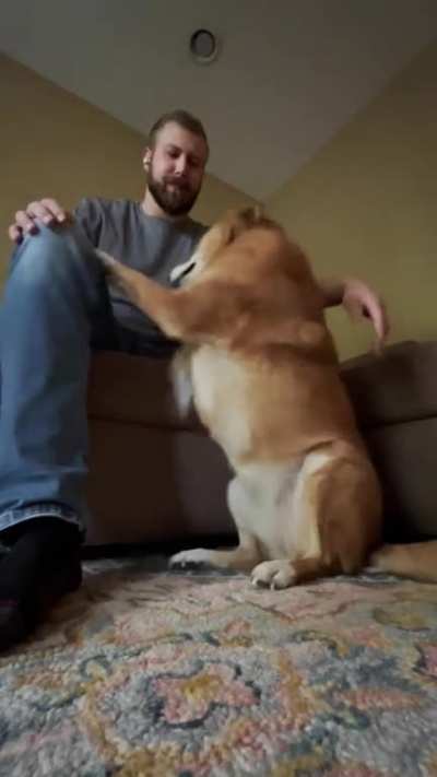 How my cat greets me vs. how my dog greets me