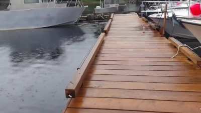 When something unexpected Happens at the Dock