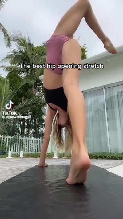 @downwarddoggie