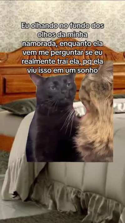 eu_nvr