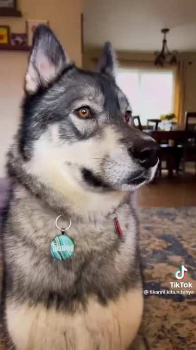 i hope this fits here