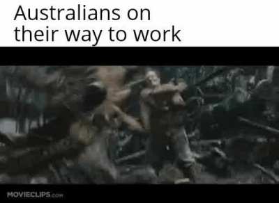 Everything wants to kill