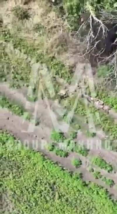 Another uki war crime. Trying to kill a wounded soldier and medical units evacuating the soldier. 