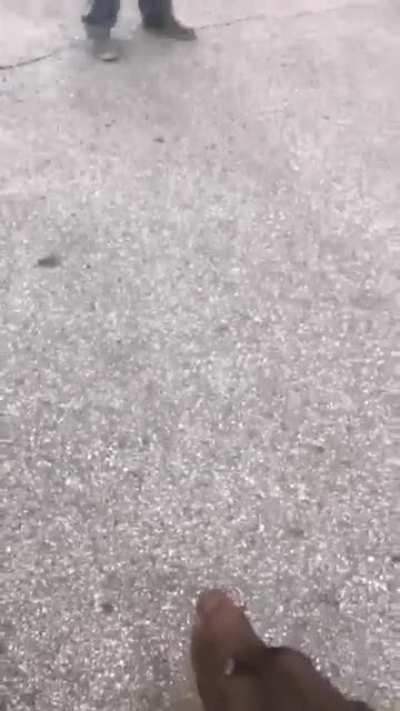 Man turned his car around to follow me and my dogs, then parked and got out to harass me & spit at me.