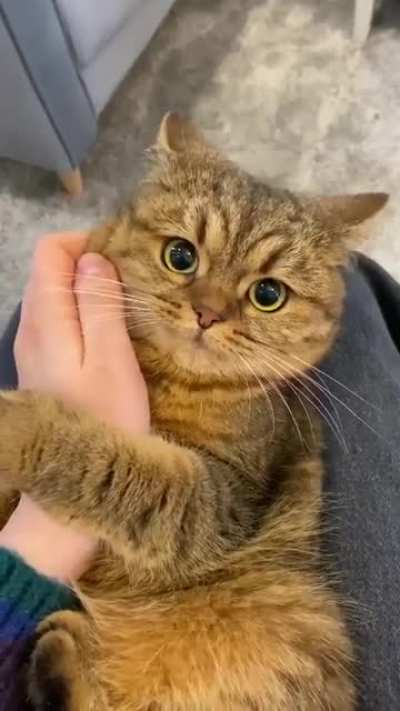 Those eyes.