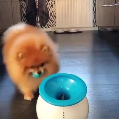 He Loves This Game :D